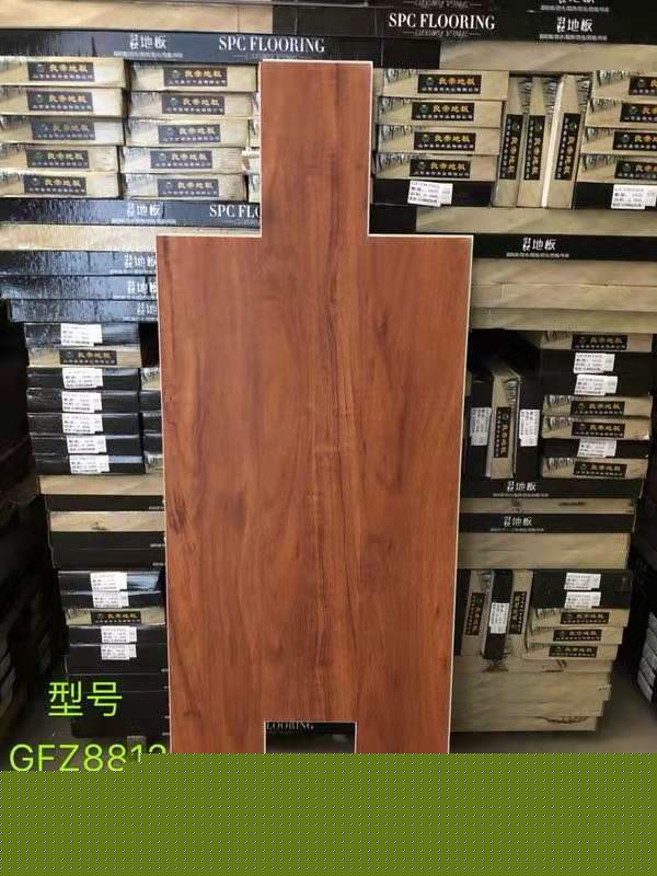 GFZ8812